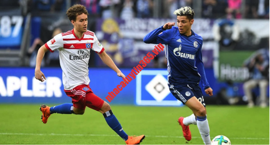 Soi kèo, dự đoán Hamburg vs Dusseldorf, 23h30 ngày 29/9 - Hạng 2 Đức chuyen gia nhan dinh schalke vs hamburg