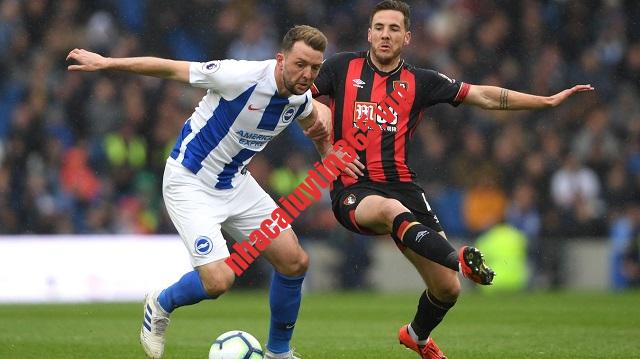 Soi kèo, dự đoán Brighton vs Bournemouth, 20h00 ngày 24/9 - Ngoại Hạng Anh soi keo du doan brighton vs bournemouth 20h00 ngay 24 9 ngoai hang anh 1