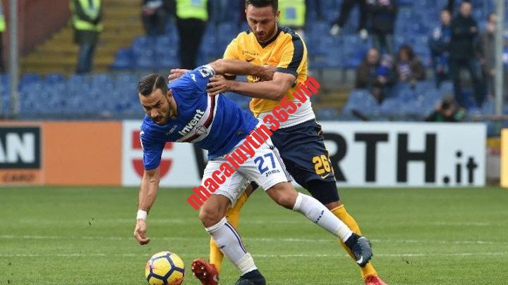 Soi kèo, dự đoán Sampdoria vs Spezia, 02h30 ngày 25/11 - Hạng 2 Ý soi keo du doan sampdoria vs spezia 02h30 ngay 25 11 hang 2 y 1