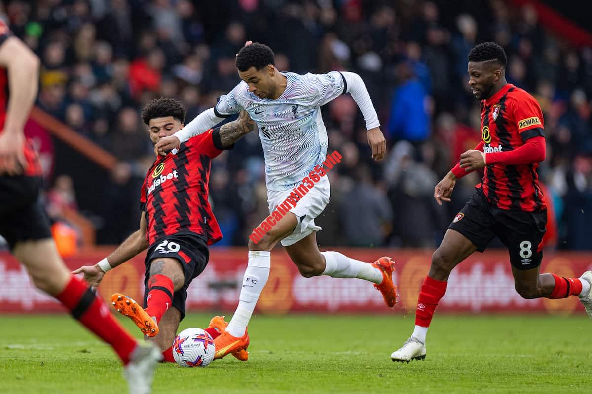 Soi kèo phạt góc Bournemouth vs Liverpool, 23h30 ngày 21/1 - Ngoại Hạng Anh soi keo phat goc bournemouth vs liverpool 23h30 ngay 21 1 ngoai hang anh 1